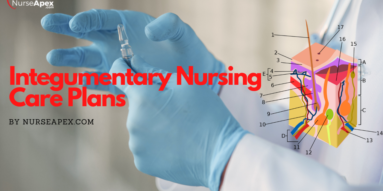 Integumentary Nursing Care Plans